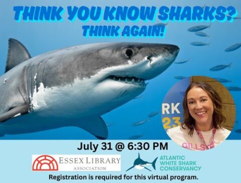 Essex Library: Think You Know Sharks? Think Again! (Virtual ...
