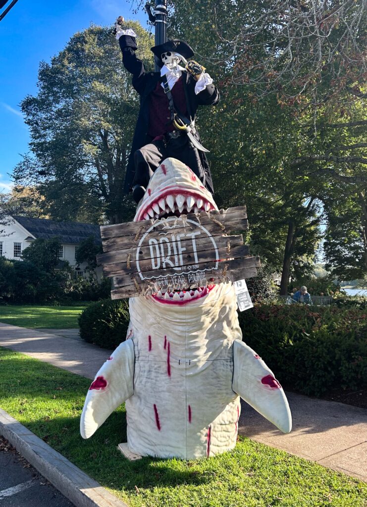 #15: Captain of the Shark