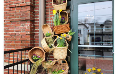 Essex in Bloom photo contest winner