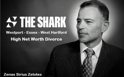 The Shark PLLC – High Net Worth Divorce