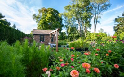 Wolf Tree Landscape Architecture