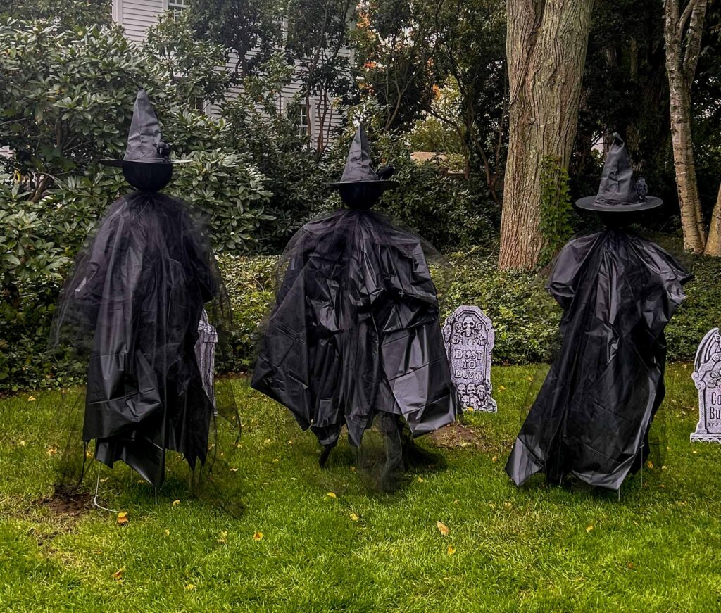 #13 - The Village Witches