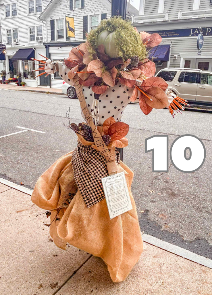 #10 - Isabella Beecher Hooker