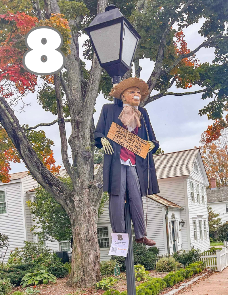 #8 - The Parched Patriot